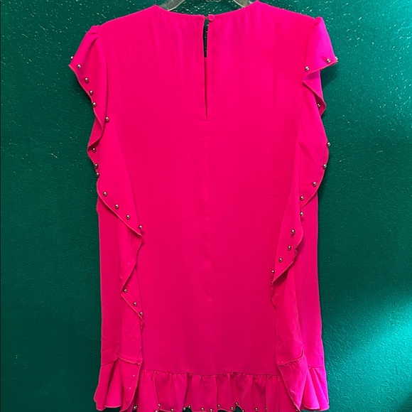 TCEC boutique Pink Ruffle Dress - Picture 5 of 5